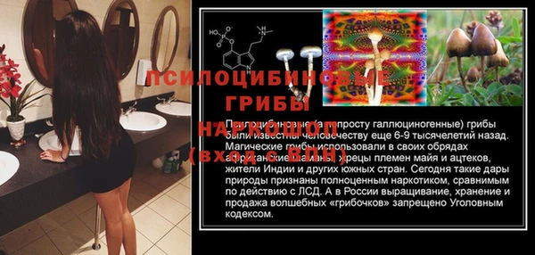 COCAINE Горно-Алтайск