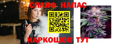 стафф Гай