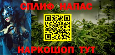 стафф Гай