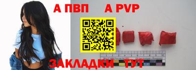 стафф Гай