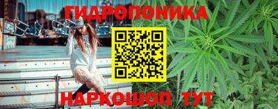 герыч Гатчина