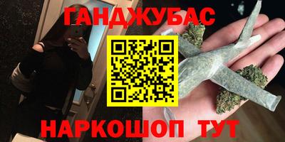 стафф Гай