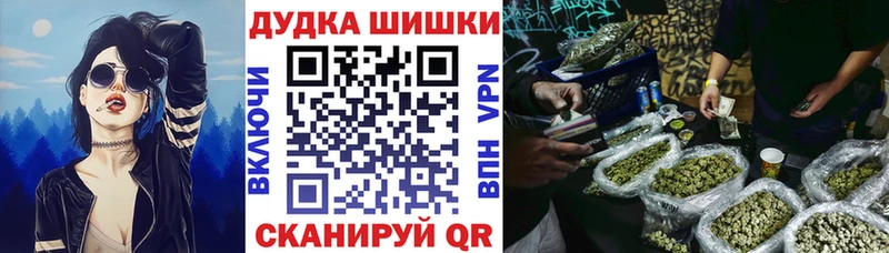 Канабис сатива  где купить   Москва 