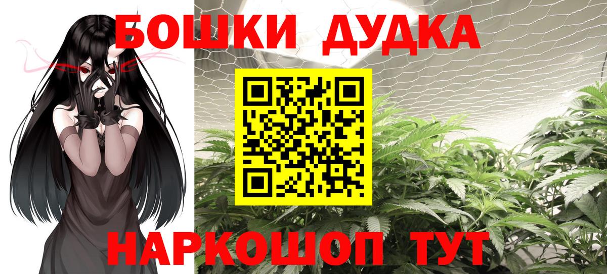 Конопля план  Вход с VPN  Шишки марихуана SATIVA & INDICA  Марихуана план  Москва 